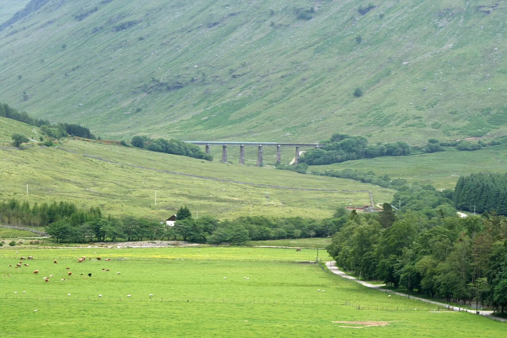 A steel viaduct on the Horseshoe Curve of the West Highland Line, seen across the green glen of the Allt Kinglass.