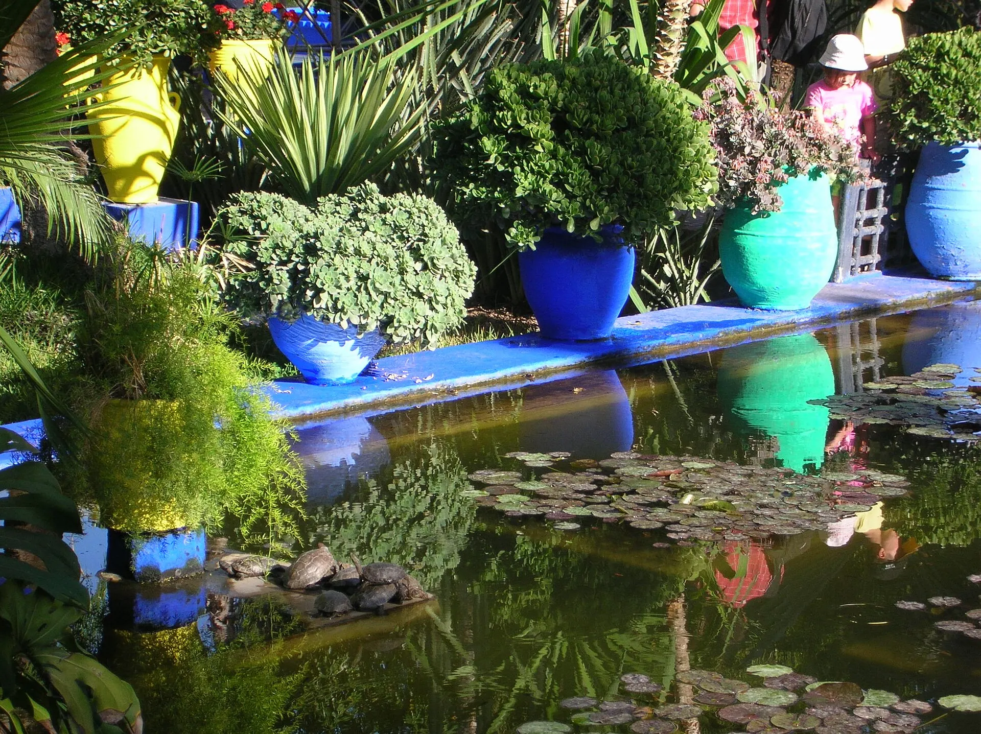 Blue, green and yellow pots on a cobalt ledge above the lily pond in the Jardin Majorelle, with visitors walking behind