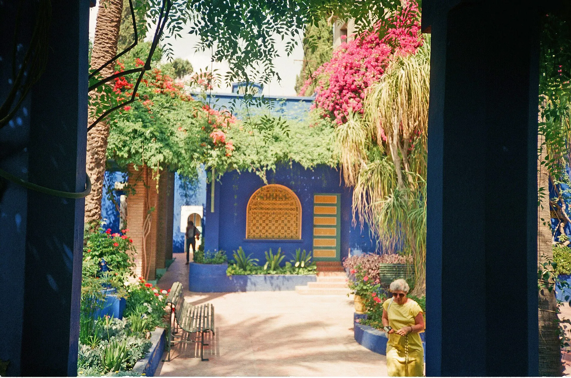 A path through bougainvillea and palms leading to the cobalt blue villa in the Jardin Majorelle, with a visitor on the path