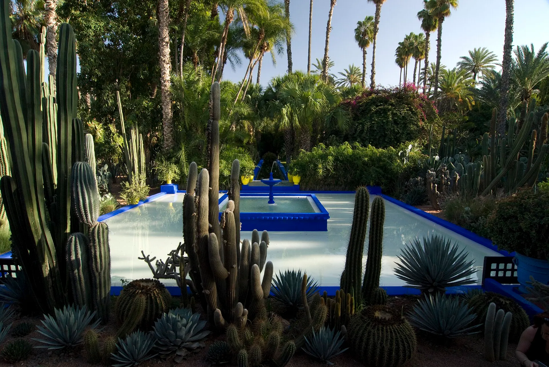 Cacti and agaves around a pale pool with a blue fountain in the Jardin Majorelle, under tall palms