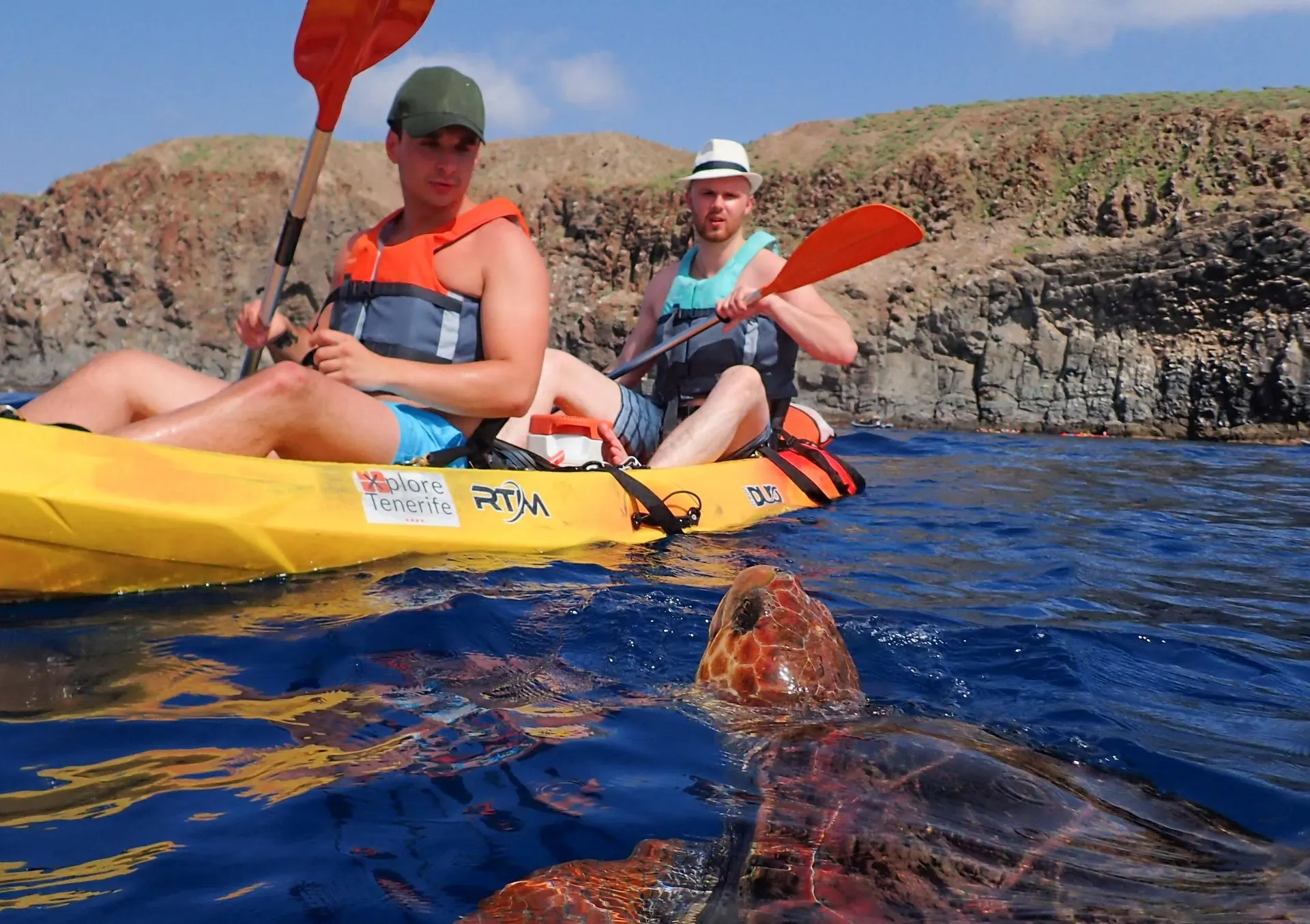Two kayakers paddling past a sea turtle surfacing beside their yellow kayak