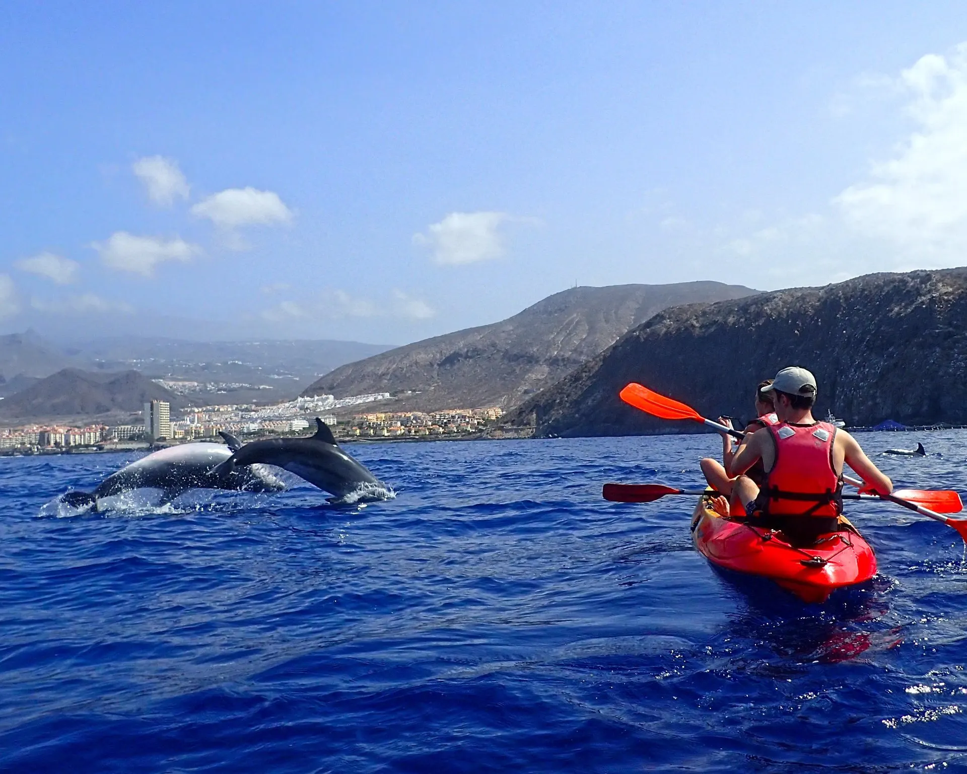 A dolphin surfacing near a red kayak, with the south coast behind