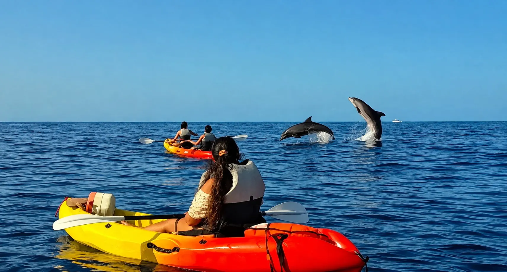 Two dolphins leaping beside a kayaker in a red and yellow kayak
