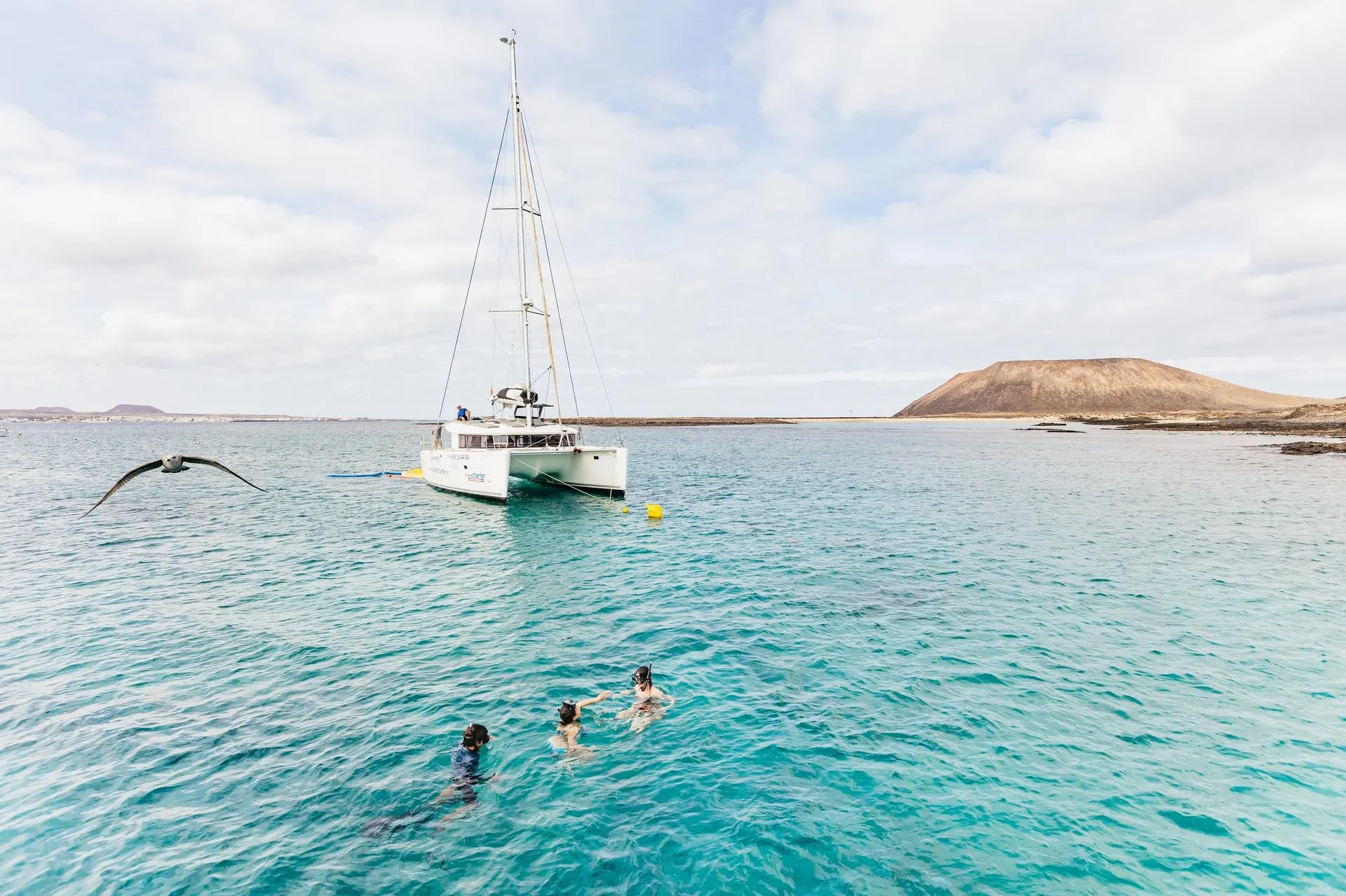 Three snorkellers in turquoise water beside an anchored catamaran off Isla de Lobos, with a volcanic hill on the shore behind
