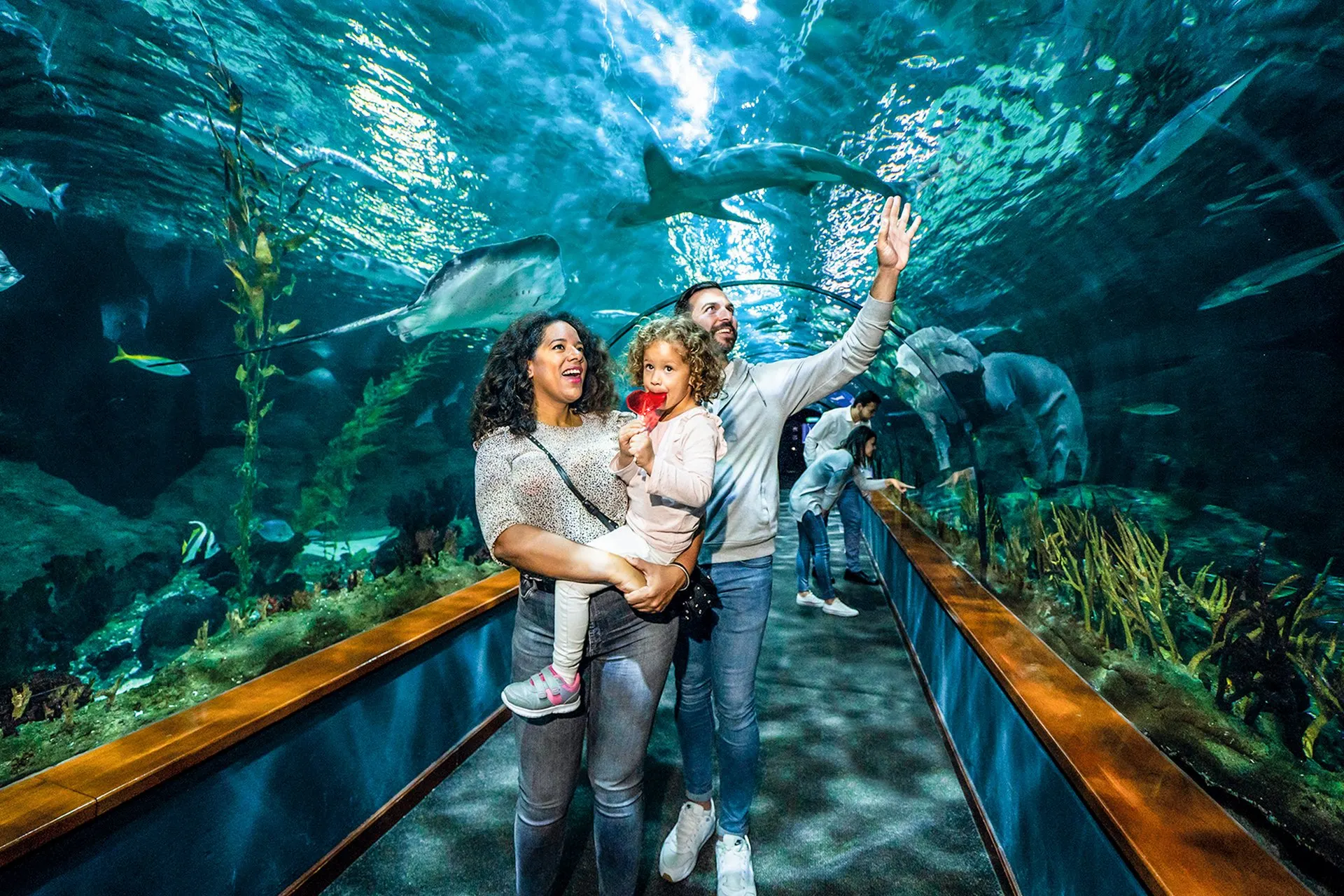 A family in the aquarium tunnel, with sharks and rays overhead