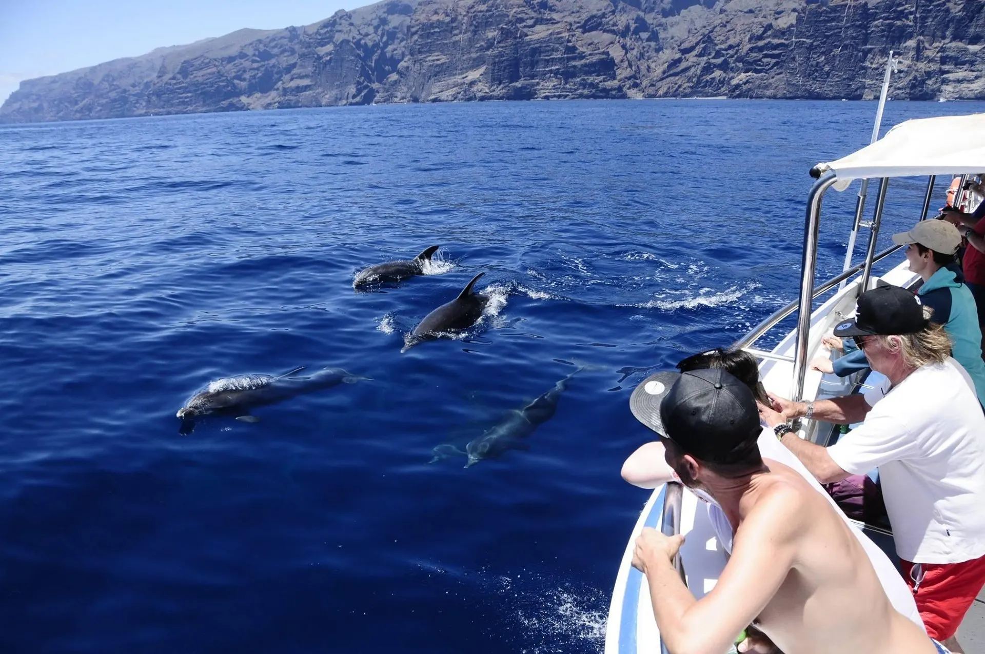 Passengers at the rail watching pilot whales, with the Los Gigantes cliffs behind