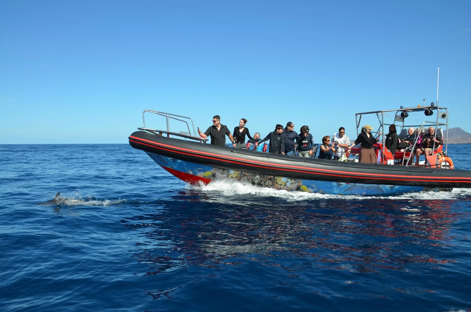 The speedboat cruising past a dolphin, with the hills of the Jandía peninsula on the horizon