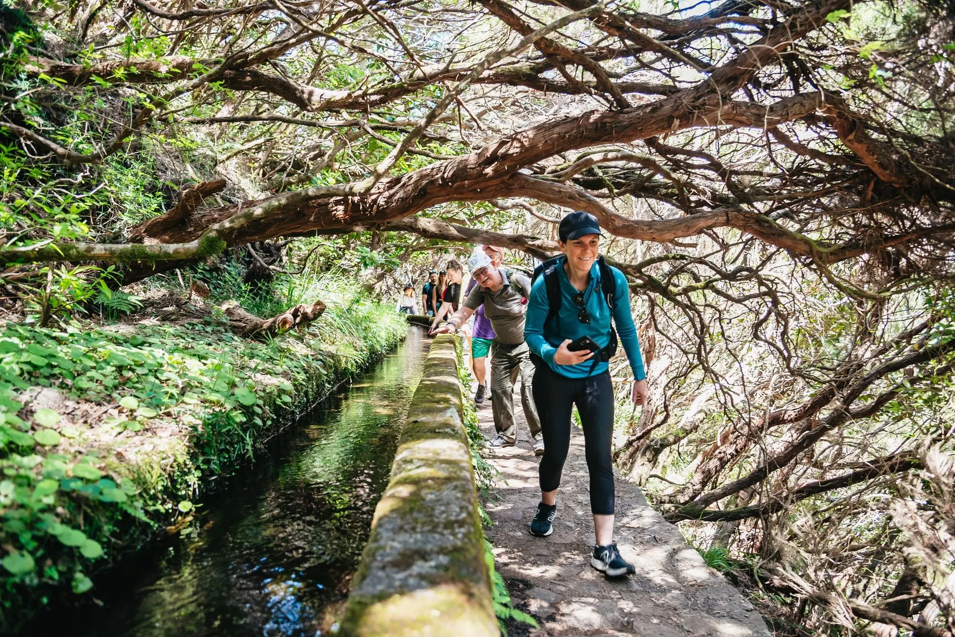 A line of walkers on the path beside a stone levada channel, under twisted branches