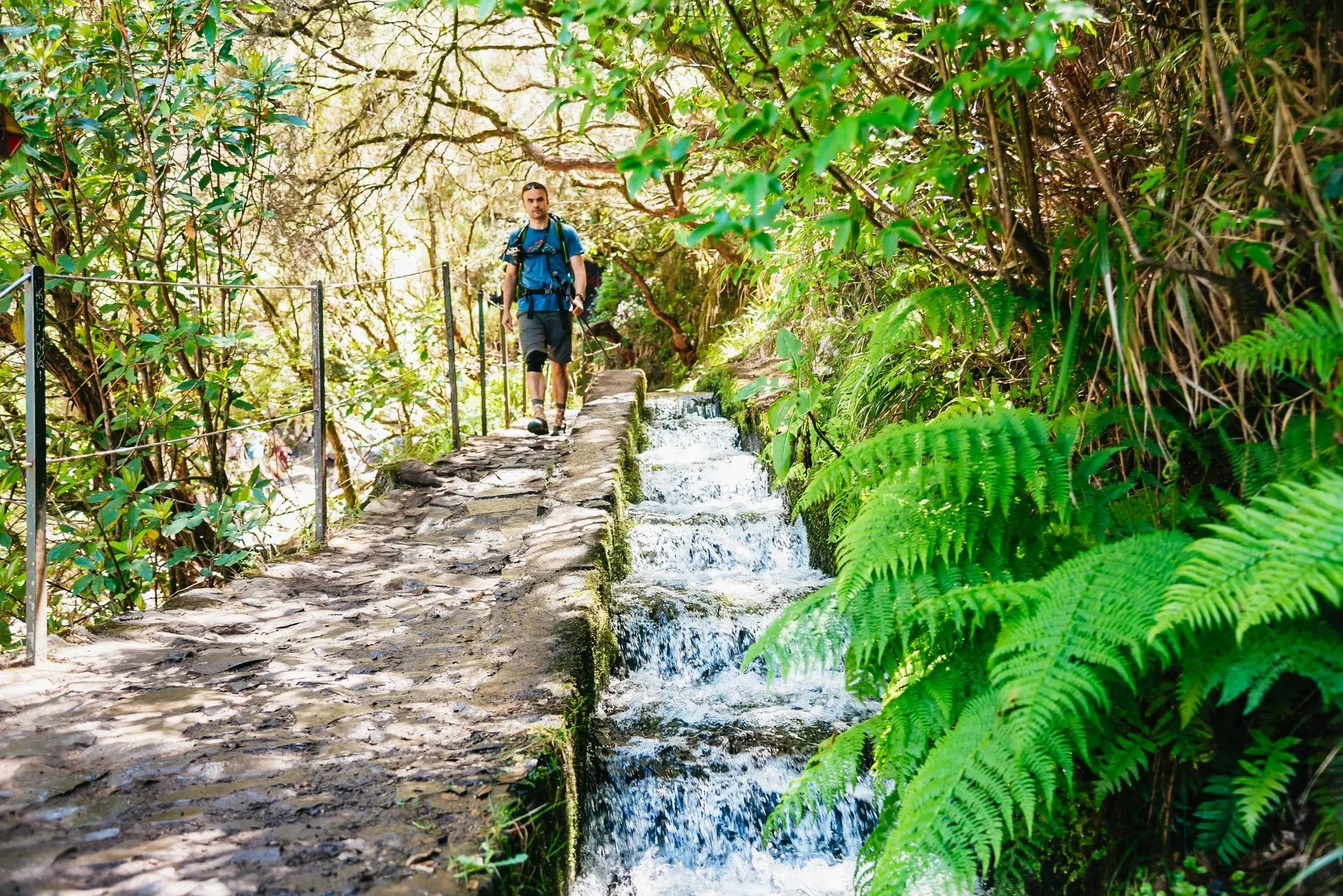 A walker on the paved path beside a levada where the water runs down in steps, with ferns alongside
