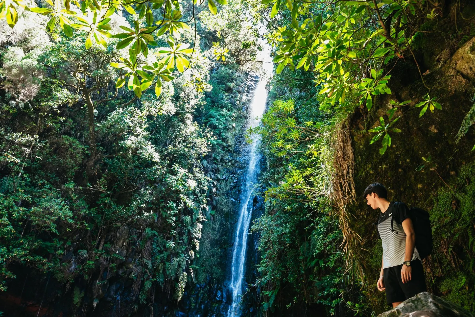 A thin waterfall dropping through laurel forest, with a walker looking up at it
