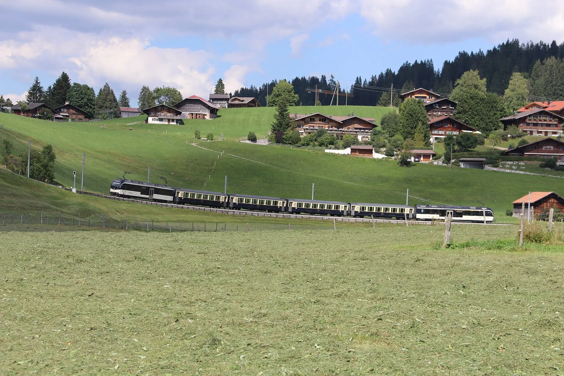 An MOB train of panoramic coaches runs through the green meadows below Schönried, between Gstaad and Saanenmöser.