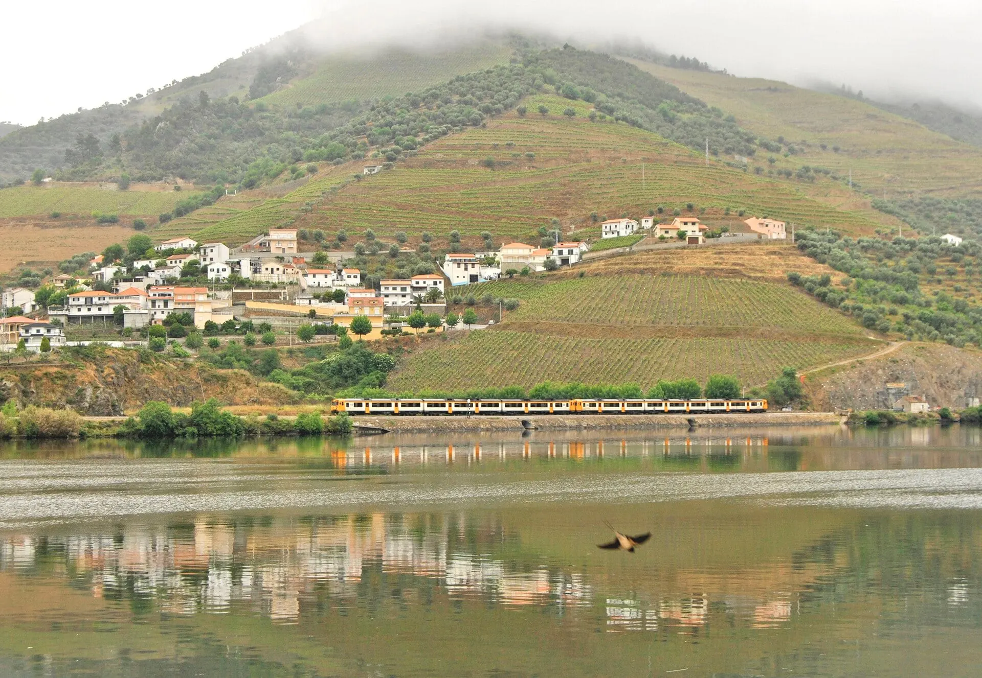 Un tren InterRegional de Oporto a Pocinho pasa al pie de los viñedos en bancales bajo un pueblo del Duero, reflejado en el río.