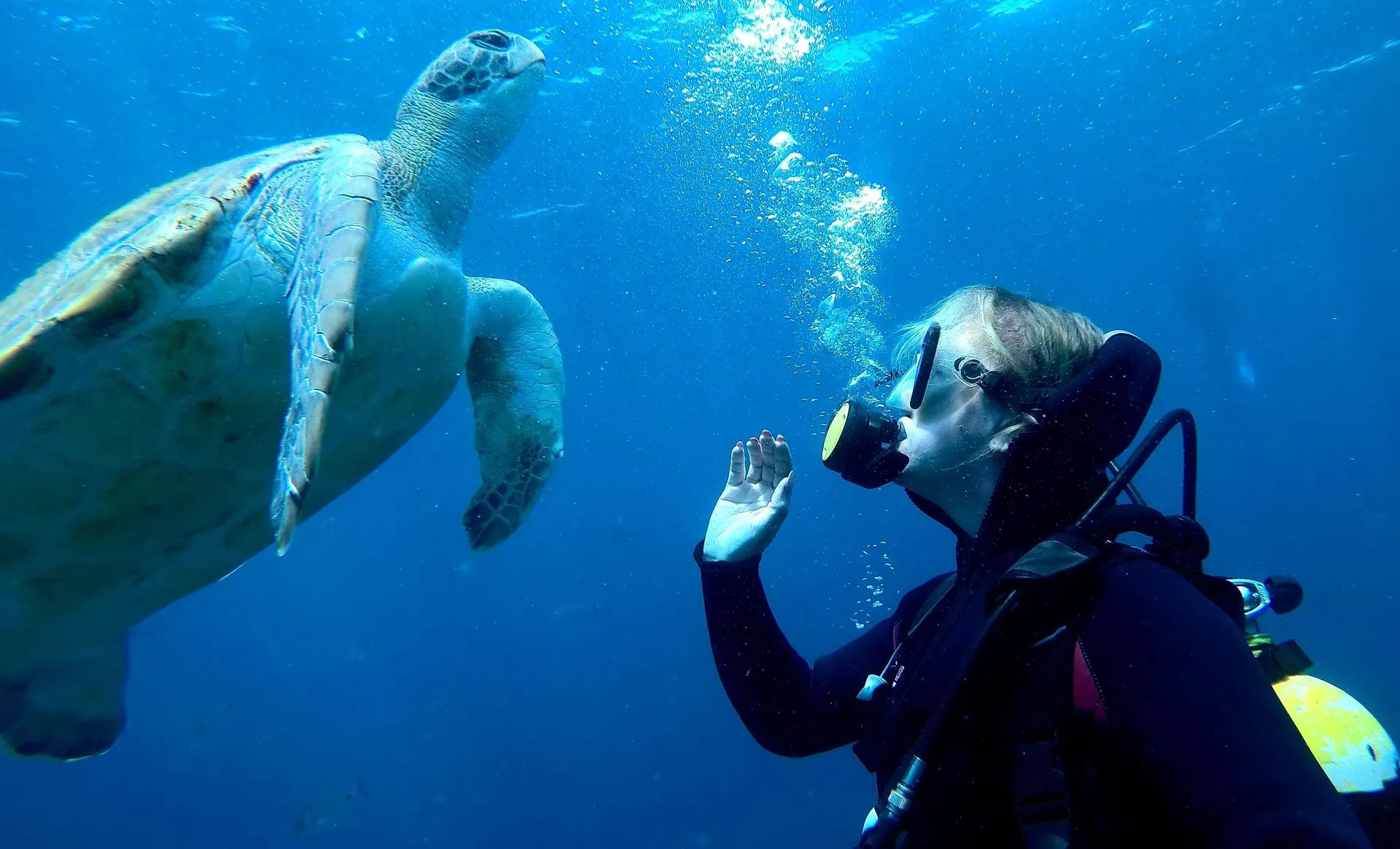 A diver waving at a passing sea turtle