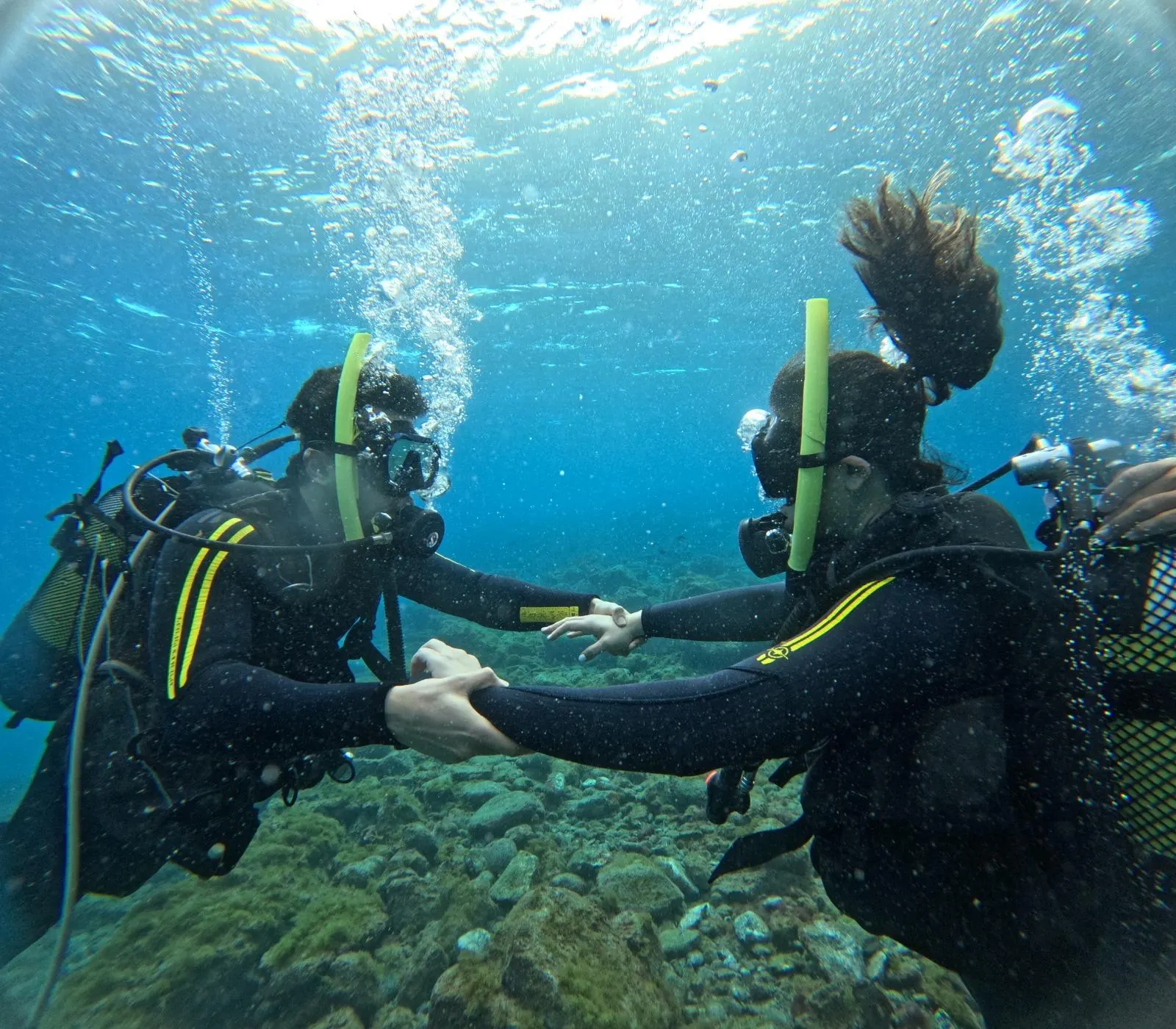Two divers holding hands under water