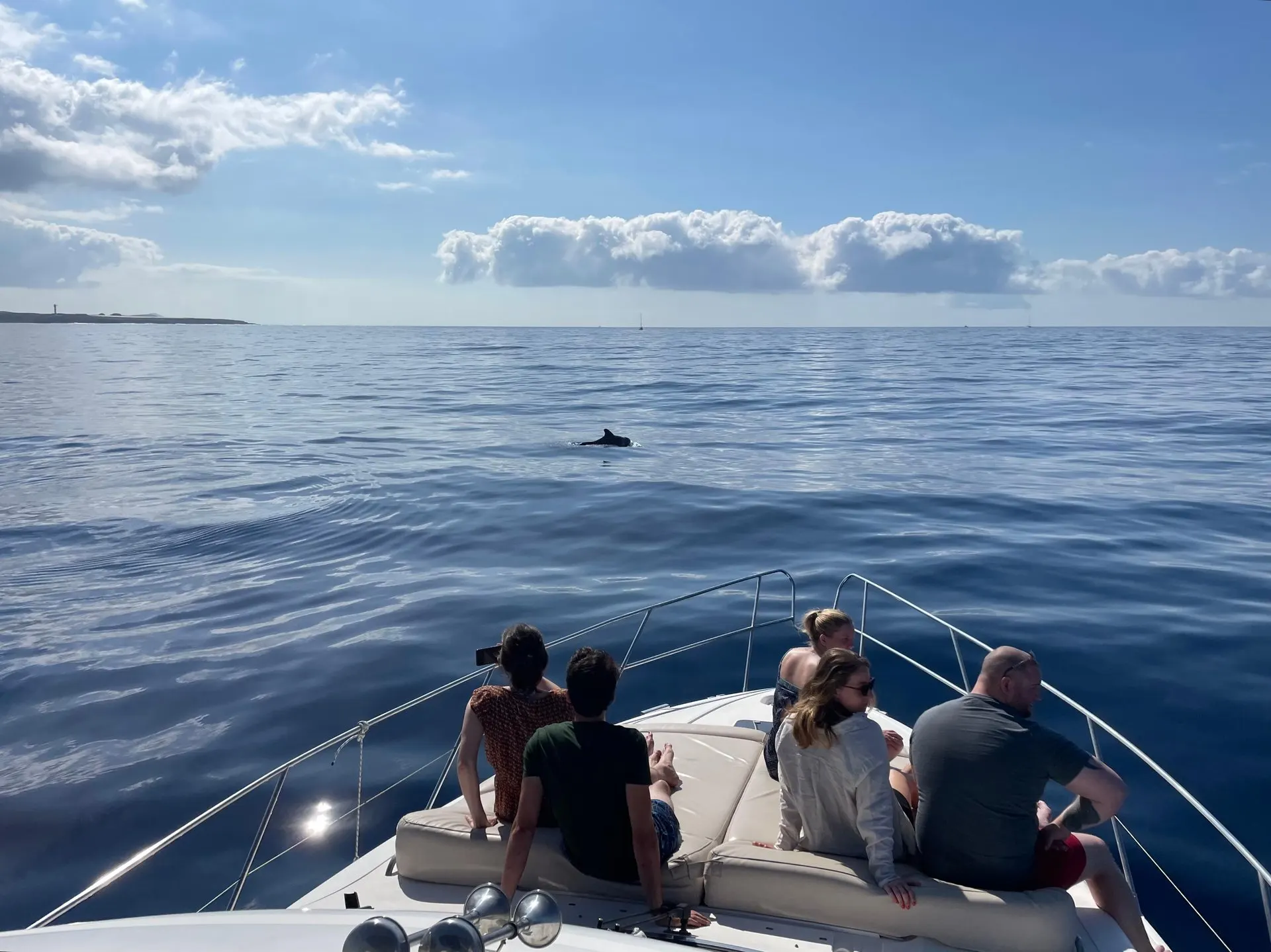 Guests at the bow watching a whale surface ahead of the yacht