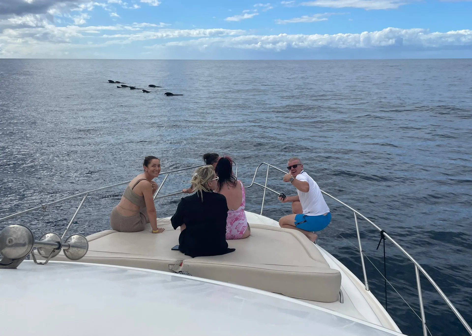 Guests at the bow watching whales on the horizon