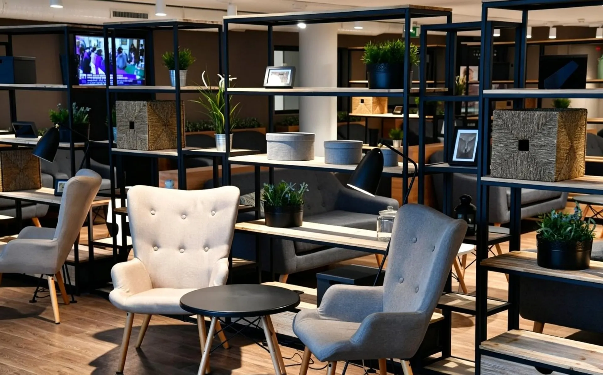 Cream wingback chairs and grey armchairs beside shelves with plants