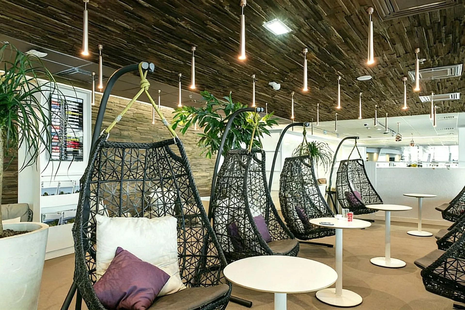 Hanging wicker egg chairs with cushions under a wooden slatted ceiling