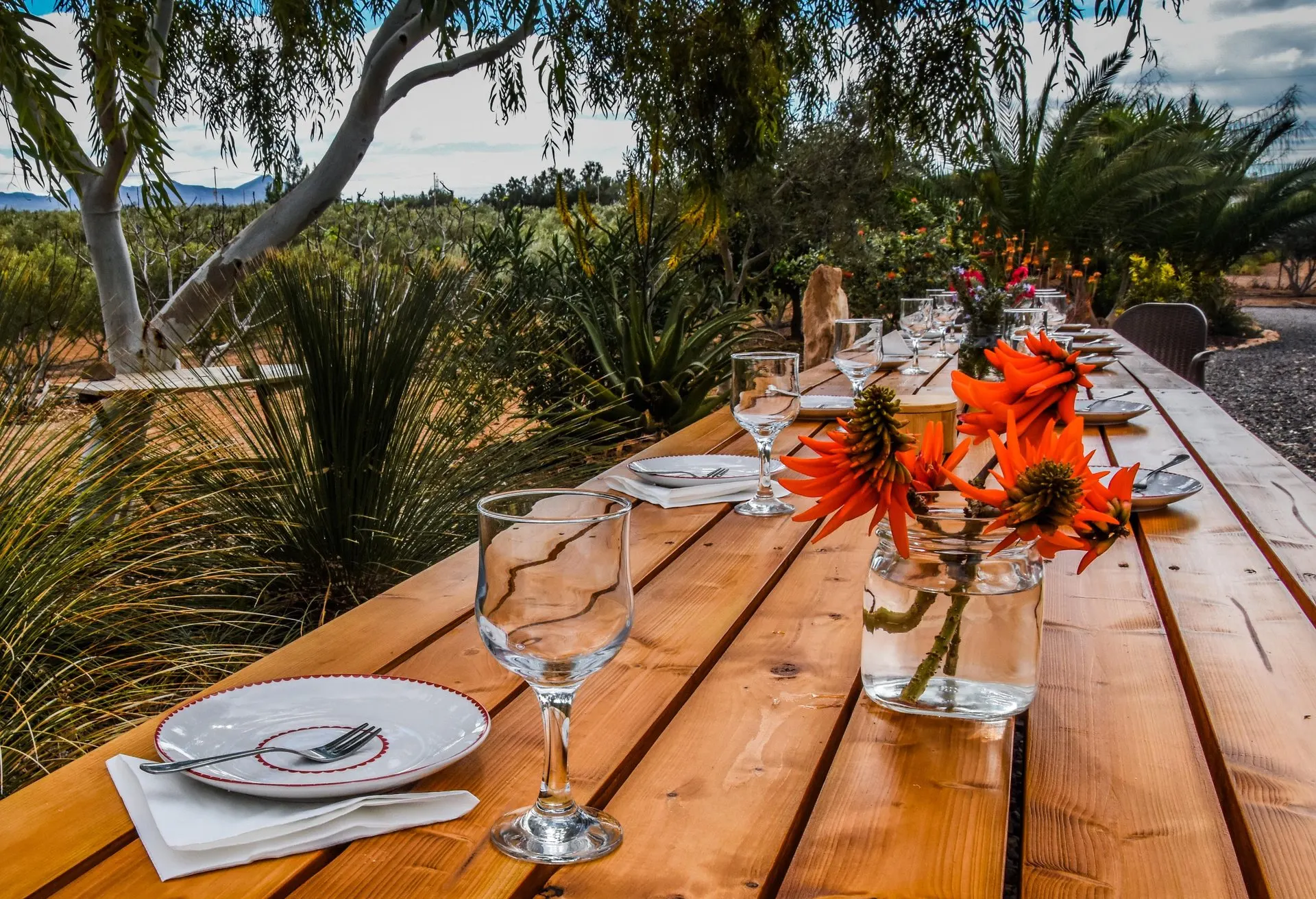 A long wooden table laid with plates and glasses under a eucalyptus tree on a farm, with orange flowers in a jar and fields and hills beyond