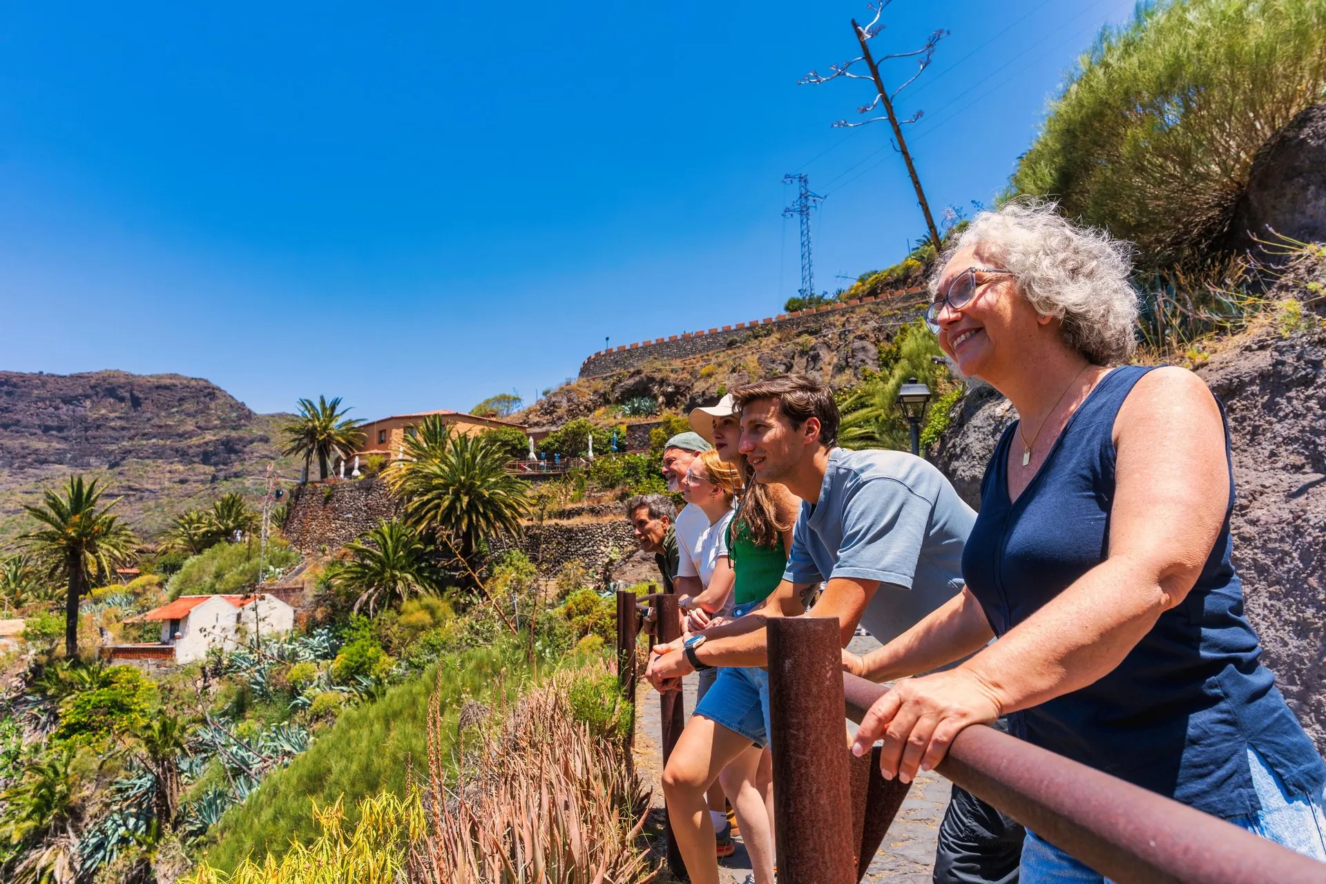 Passengers at a viewpoint railing over a green valley with palms