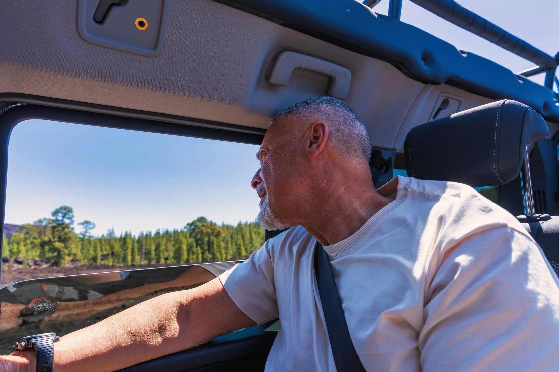 The driver at the wheel, with pine forest outside