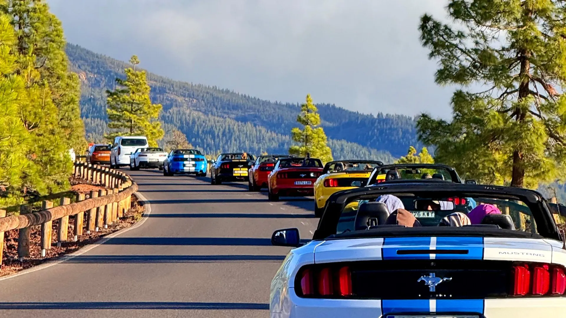 A convoy of Ford Mustang convertibles on a pine-lined mountain road above the clouds