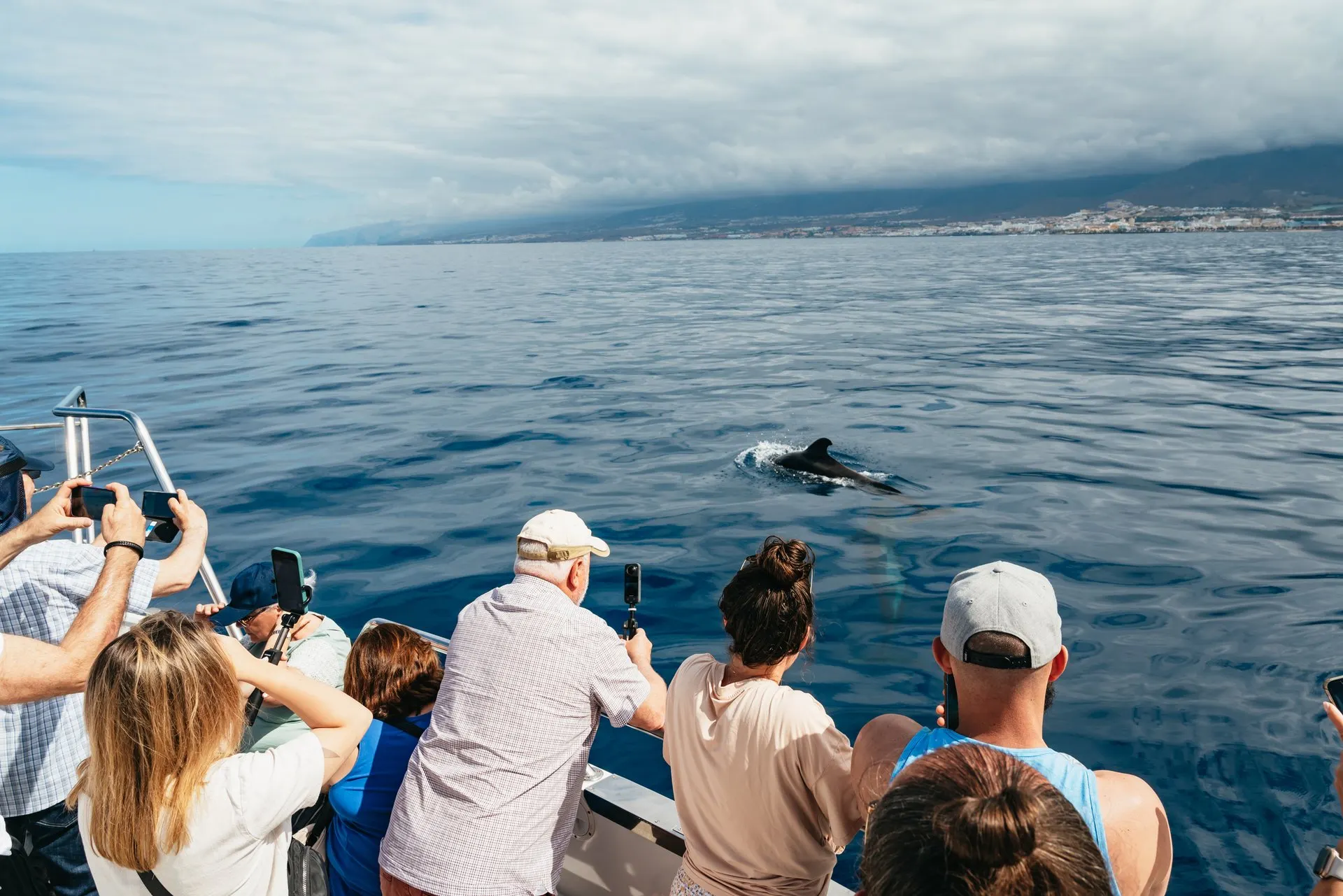 Passengers at the rail of Travelin' Lady watching pilot whales off the south coast