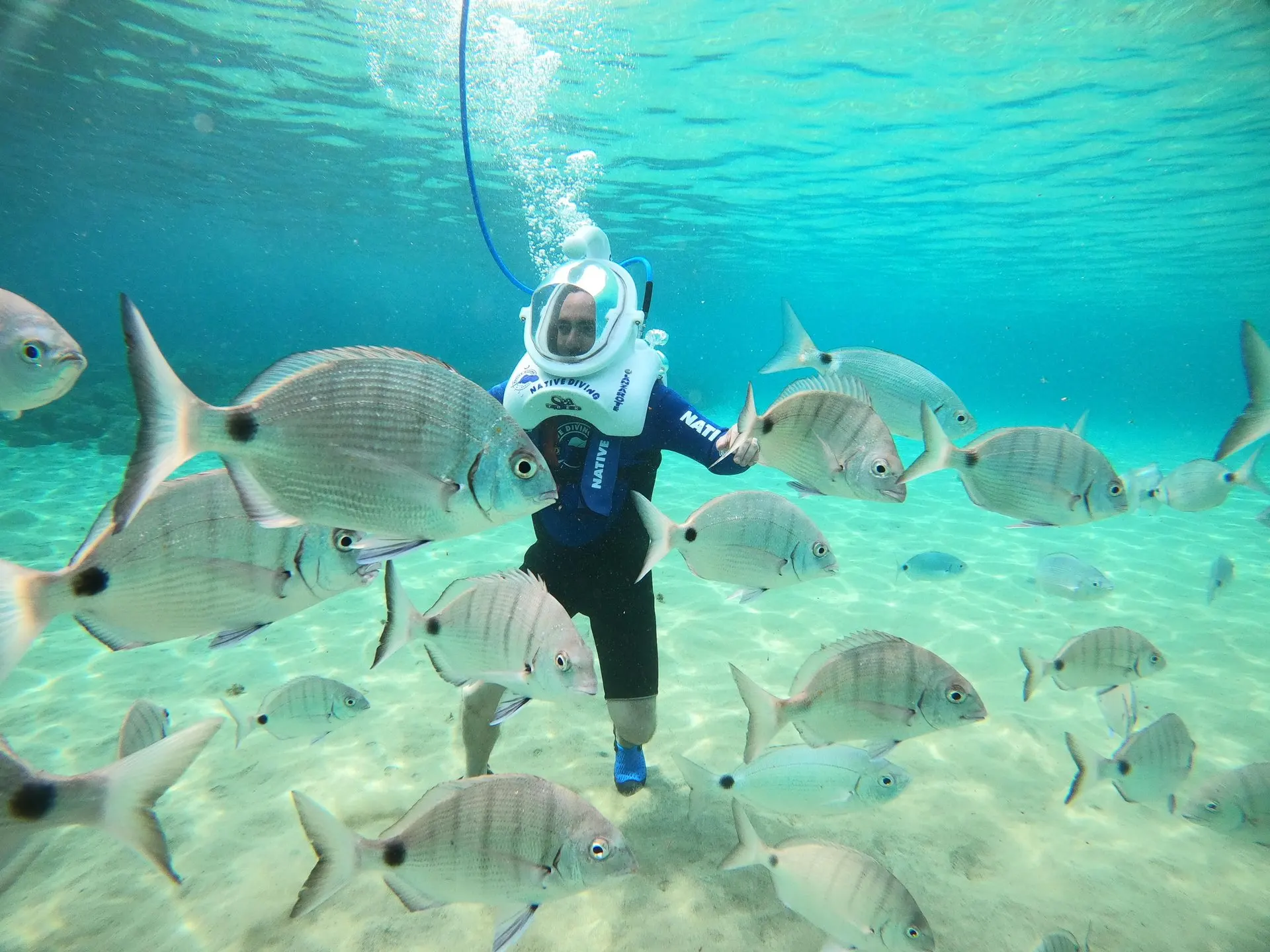 A walker in a Sea Trek helmet among a shoal of fish on the seabed