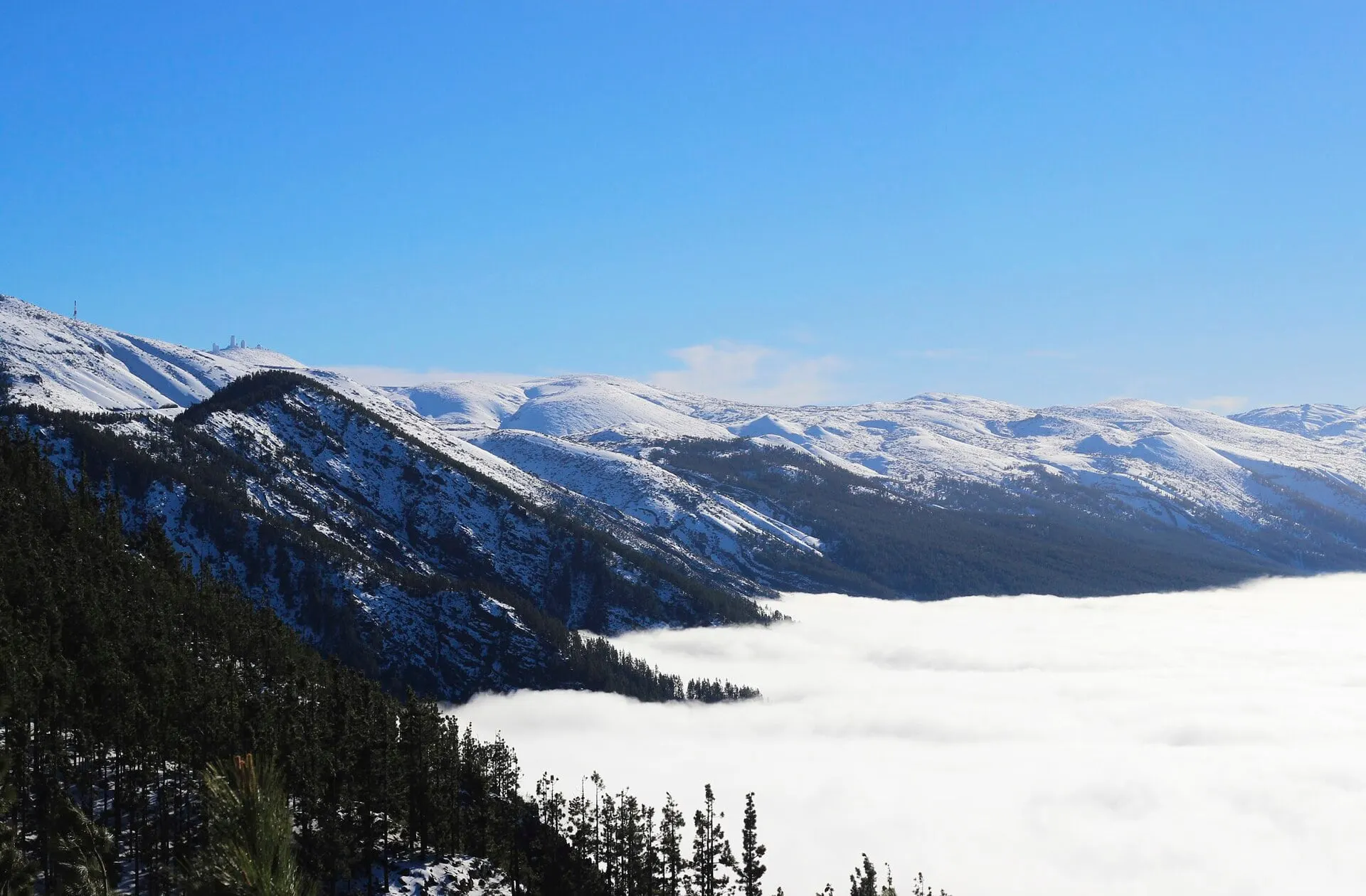 Snow on Tenerife's high pine slopes above a sea of cloud in February