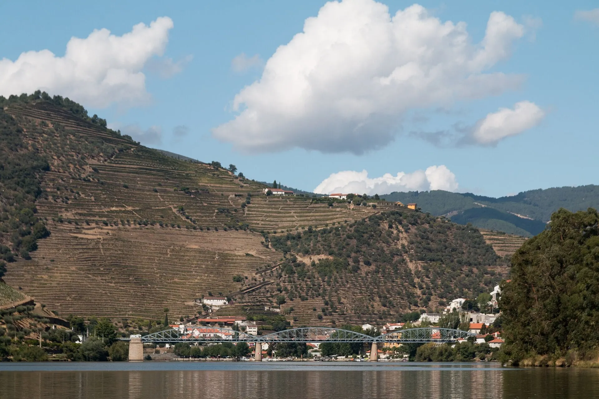 Viñedos en bancales sobre Pinhão y su puente sobre el Duero bajo un cielo azul.